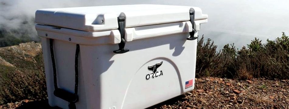 Clean ORCA cooler with maintenance supplies and cleaning tools